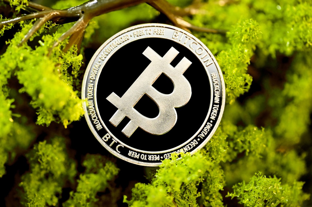 Мост Garden Finance BTC: безопасный путь для приватных транзакций